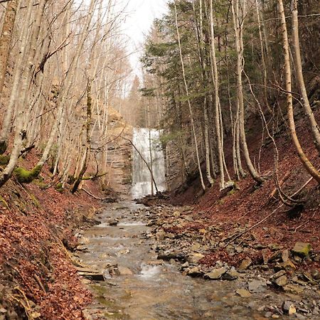 Altxabi Apartamento Rural Ochagavía Dış mekan fotoğraf