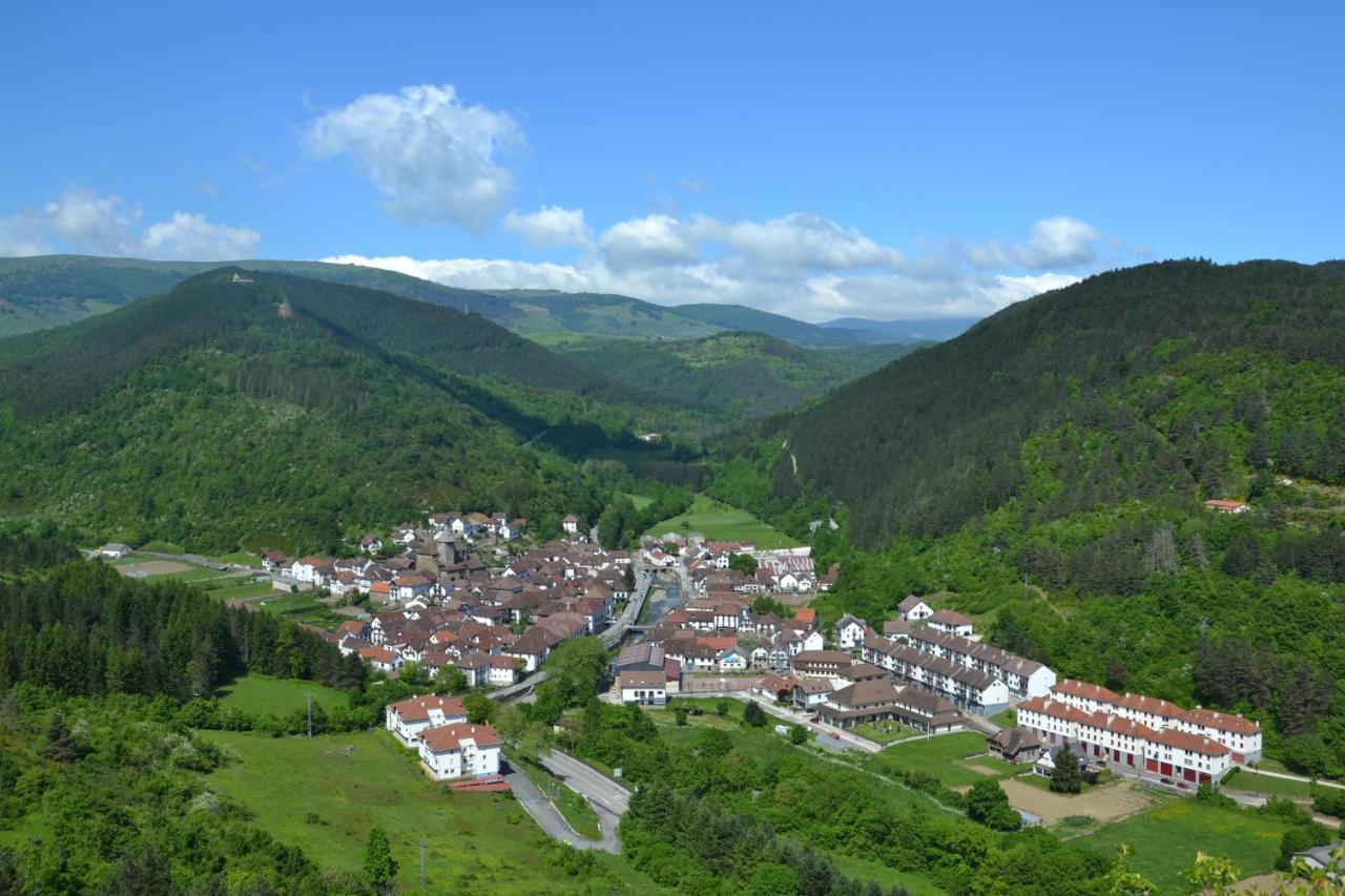Altxabi Apartamento Rural Ochagavía Dış mekan fotoğraf